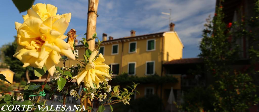 Aparthotel Corte Valesana *